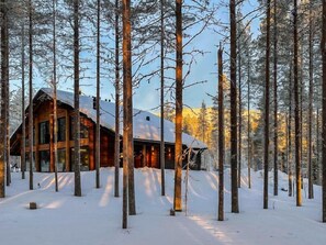 Ulkopuoli