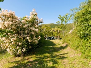 Parco della struttura