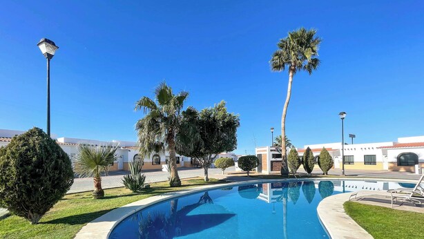 Una piscina de borde curvo, rodeada de césped cuidado y palmeras.