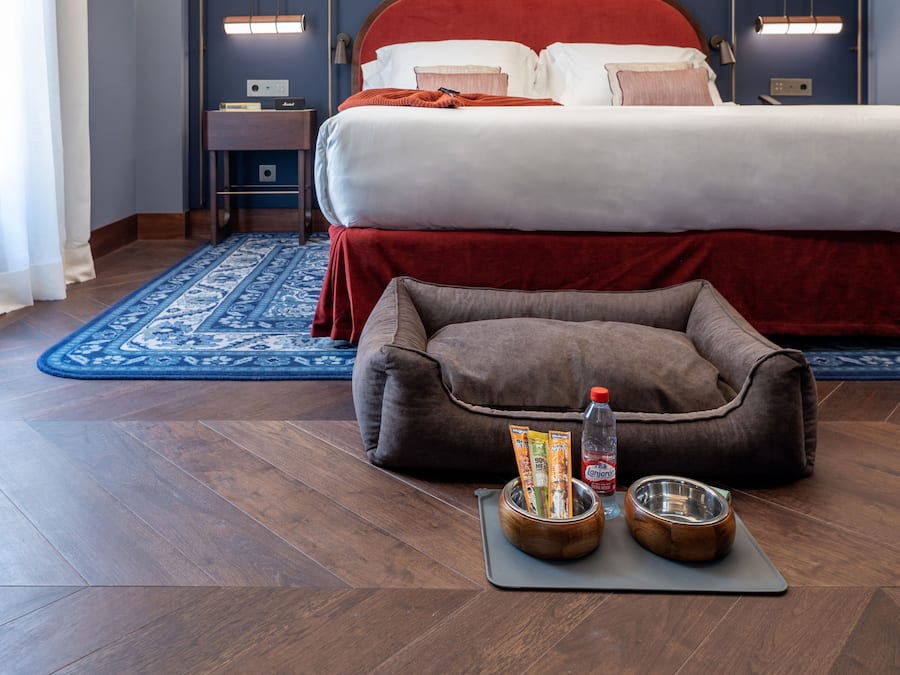 Una habitación de hotel moderna con una cama grande, cabecera de madera, mesita de noche, escritorio, alfombra estampada azul y una cama para mascotas con cuencos.