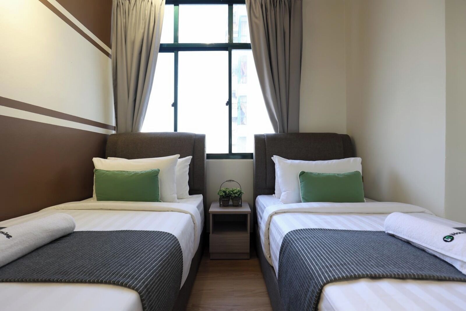 A hotel room with two beds, a small table with a plant, and a window with curtains.