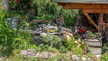 Área da propriedade