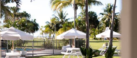 A view of a poolside area with white umbrellas, lounge chairs, and palm trees.