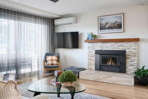 TV, fireplace, DVD player