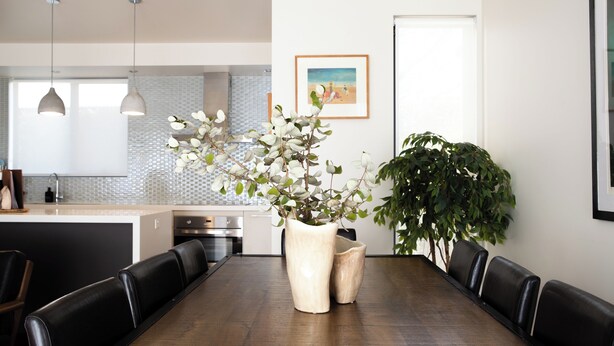 A modern dining area with a wooden table, black leather chairs, and two large potted plants.