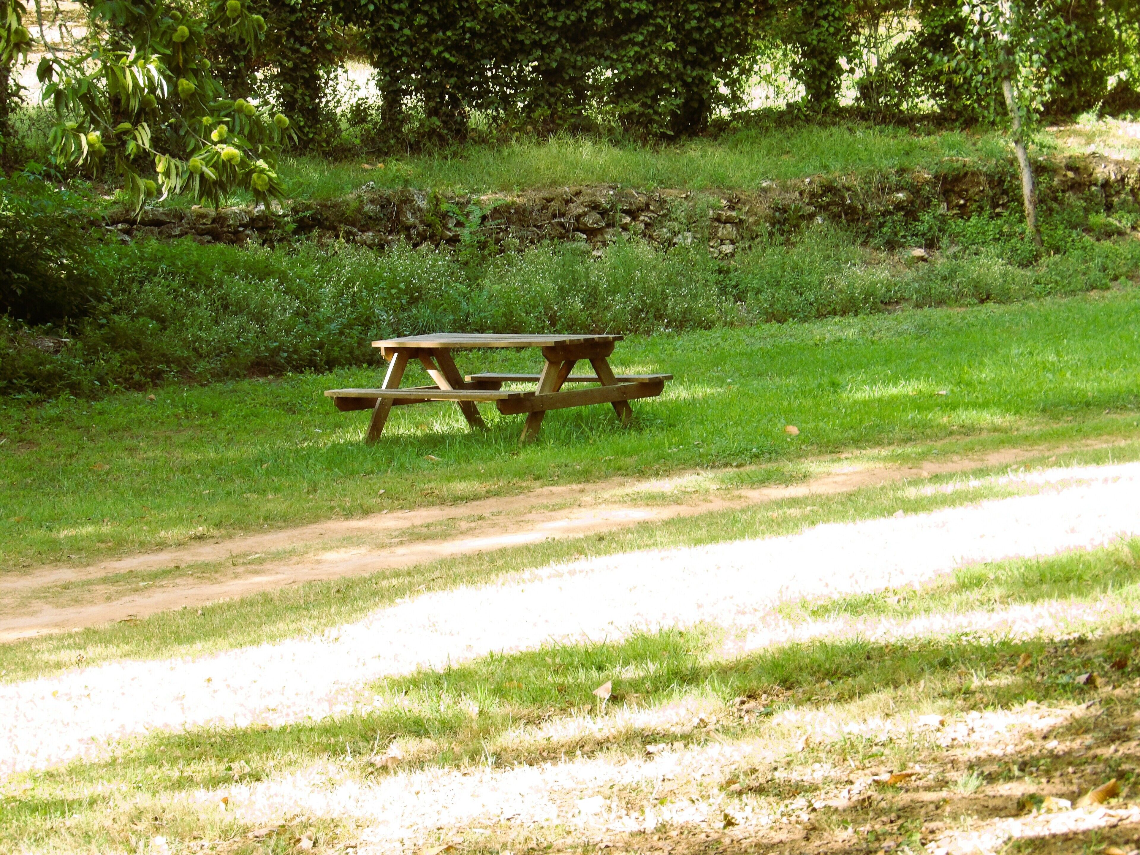 A picnic table in a grassy area with a dirt path.