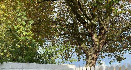 Quaint 2 bed Cottage in the Heart of Cambridge with free parking off-site