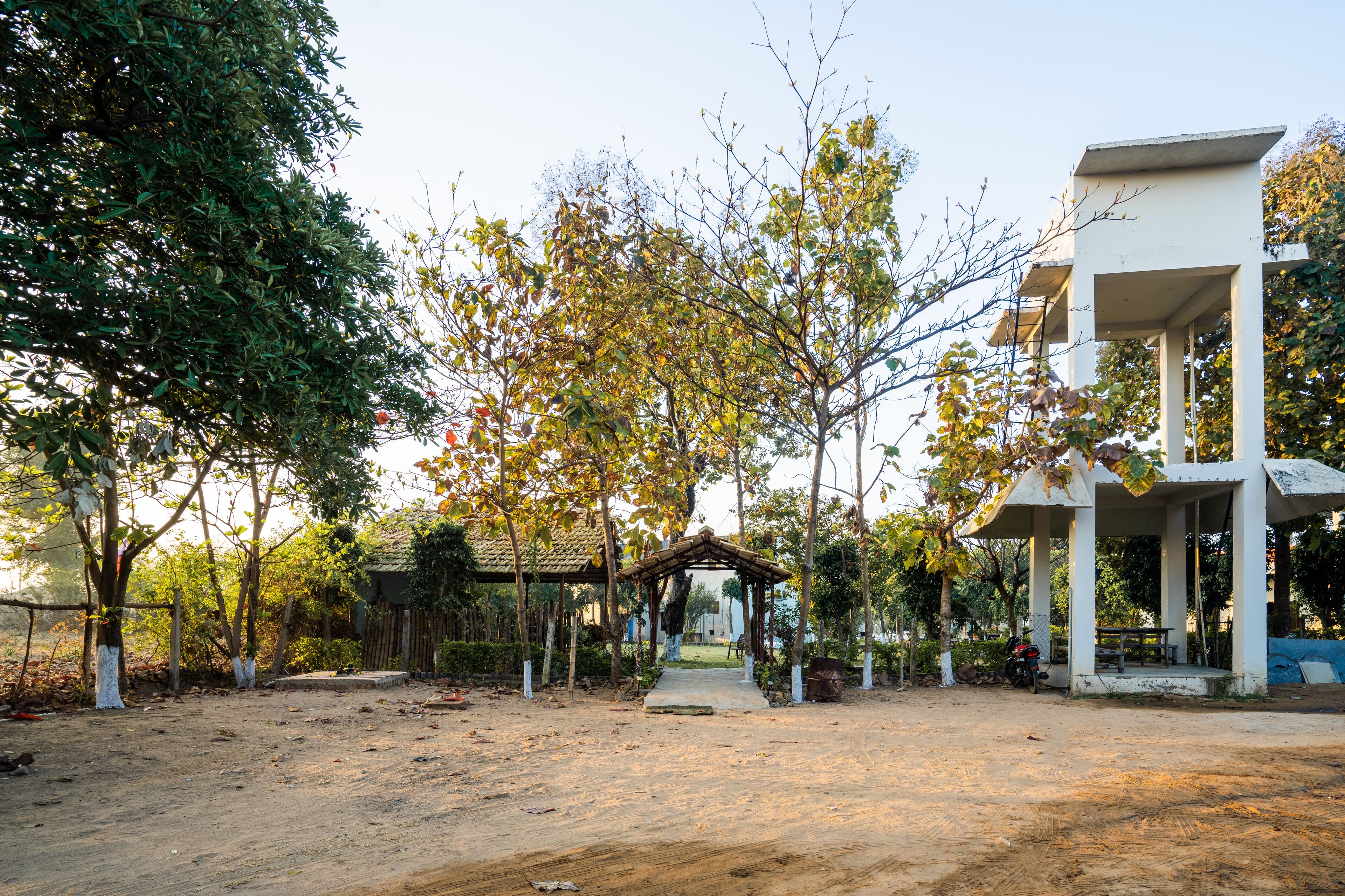 A covered outdoor area with a dirt path leading to a gazebo, surrounded by trees and a building with a white exterior.