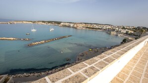 Vue sur la plage ou l’océan