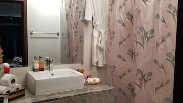 Shower, hair dryer, bidet, towels