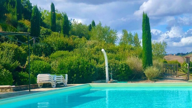 Ein rechteckiger Pool mit klarem, blauem Wasser, umgeben von üppiger Vegetation und hohen Bäumen.