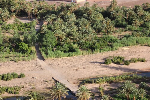 L'oasis de Fint guest house