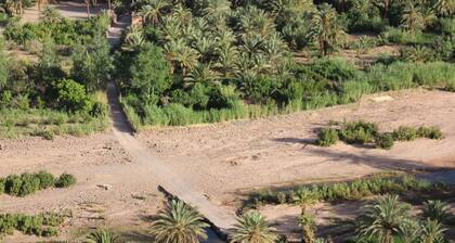 L'oasis de Fint guest house