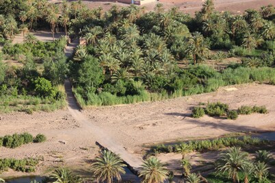 L'oasis de Fint guest house