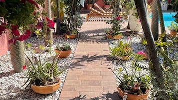 Terrein van de accommodatie