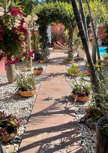 BOTANICAL STUDIO + EXTRA CAR