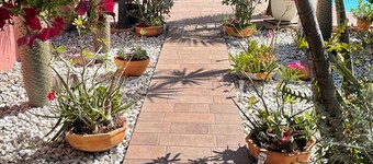 BOTANICAL STUDIO + EXTRA CAR