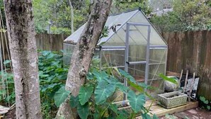 A greenhouse with a glass roof, surrounded by trees and a wooden fence. - CB House (Bike Trail, Brewery, Boardwalk, Park) (Carolina Beach)