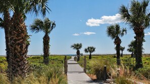 Terrain de l’hébergement 