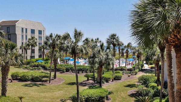 A resort with a pool area, palm trees, and a building with multiple windows.