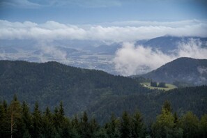 Eine gebirgige Landschaft mit dichten Wäldern und einem Tal.
