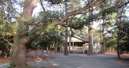 Remodeled cottage with plenty of outdoor space and privacy