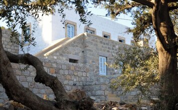 Old House surrounded by 100 year old olive trees.