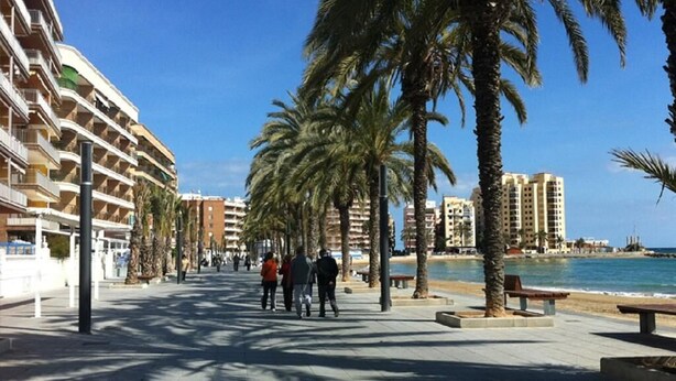 A coastal promenade with palm trees, a beach, and high-rise buildings.