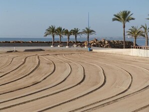 Una zona arenosa con palmeras y un litoral rocoso.