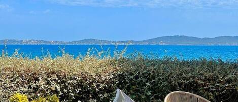 A view of the sea with a chair and a potted plant in the foreground.