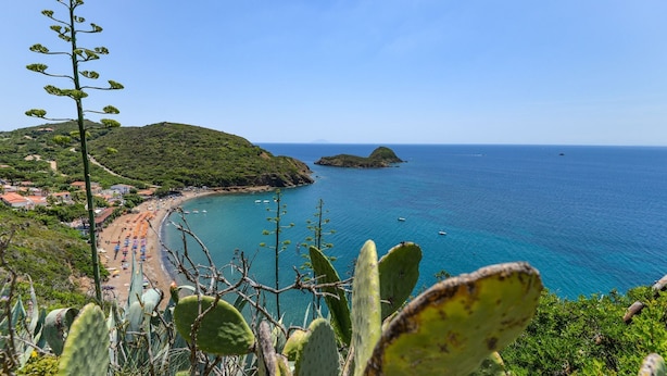 Eine Küstenlandschaft mit Strand, Kakteen und freiem Blick auf das Meer.
