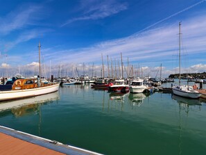 A marina with various boats docked.