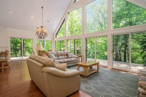 Televisión, chimenea y reproductor de DVD 