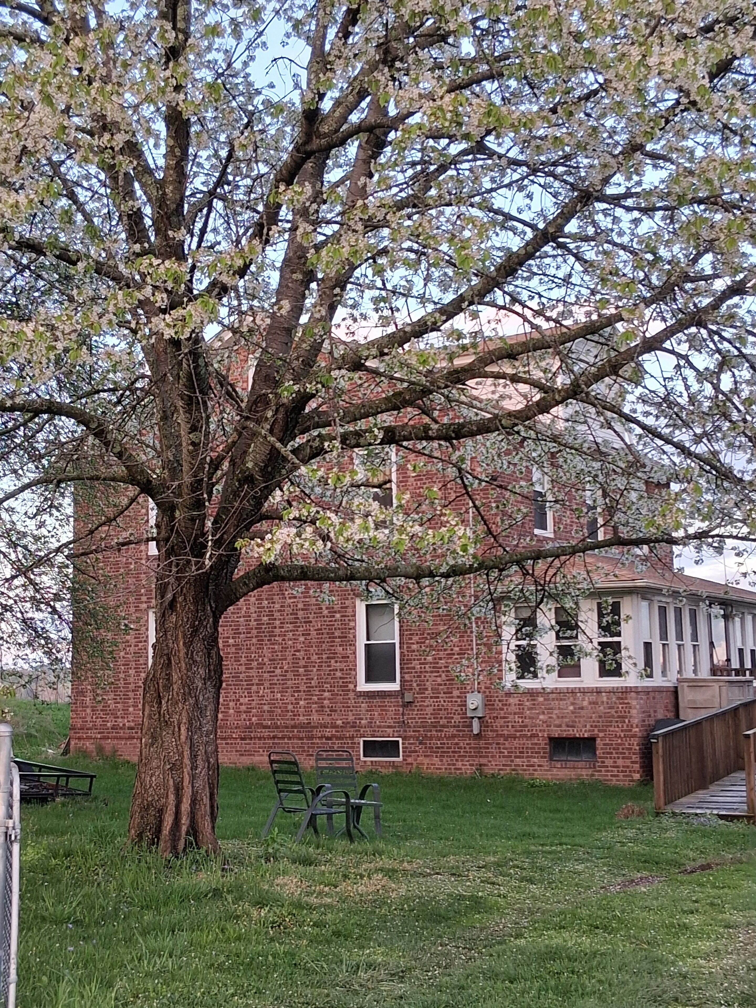 A brick building with a large tree in front, a bench, and a wooden deck.