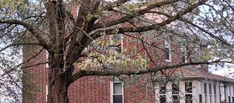 RIVERFRONT: HITS, Bard, Woodstock, Kingston from spacious enchanting 3 BR house