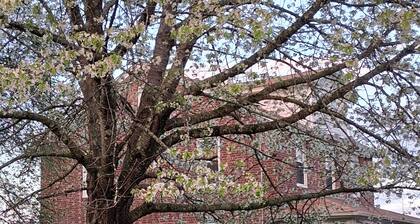 RIVERFRONT: HITS, Bard, Woodstock, Kingston from spacious enchanting 3 BR house