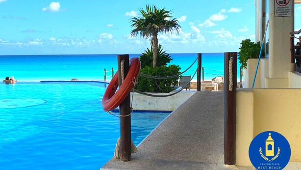 Vista de la piscina con un flotador salvavidas, una palmera y un océano azul cristalino.