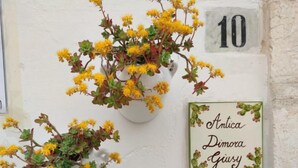 A wall with two potted plants and a framed sign with names. - Antica Dimora Giusy Ostuni (Ostuni)