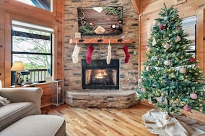 Smart TV, fireplace, video games, DVD player
