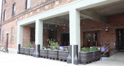 Ice Ice Baby | Downtown Newport News!