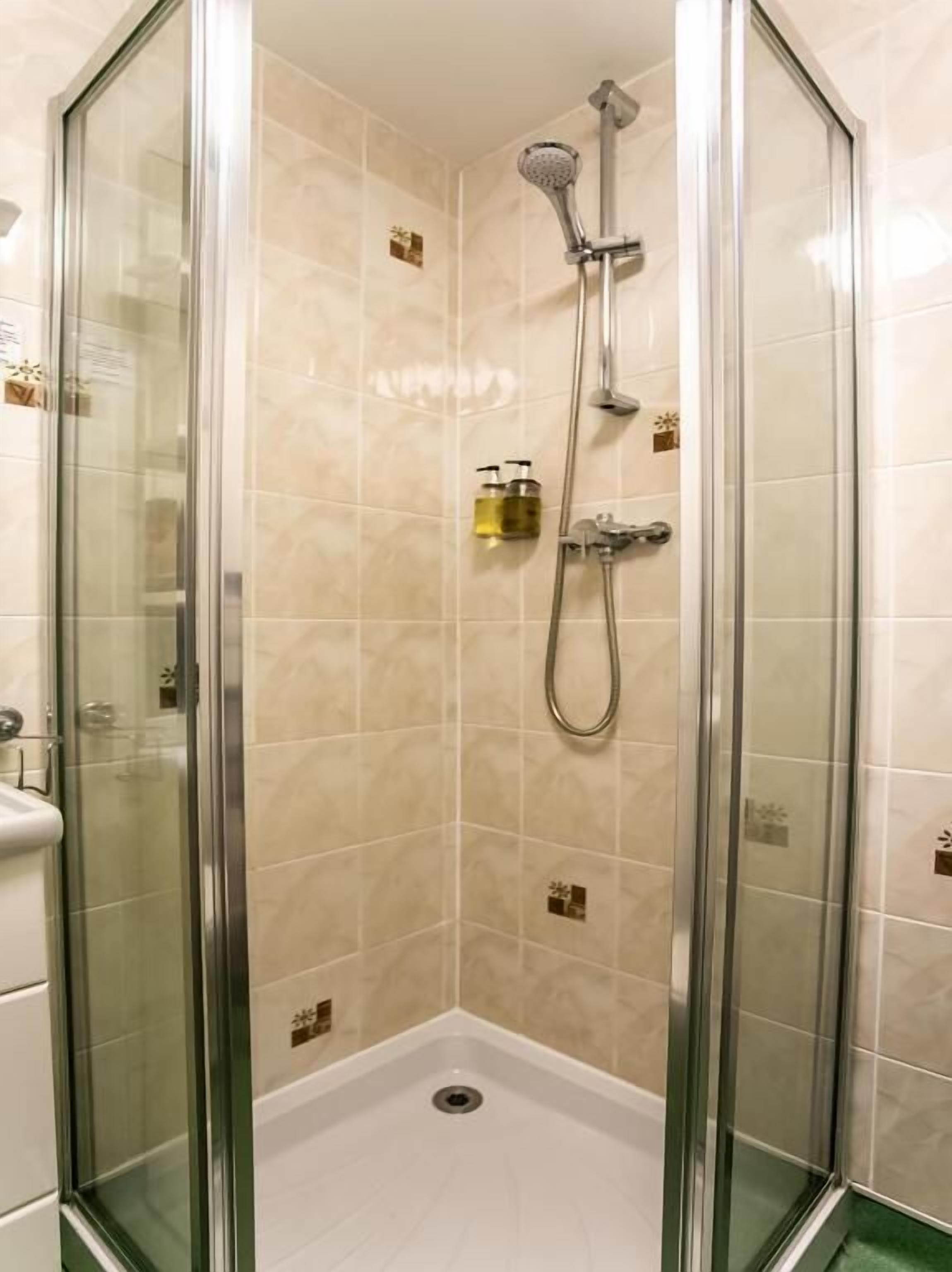 deluxe double room | bathroom shower