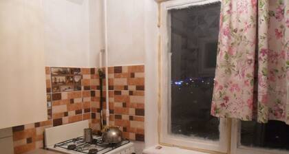 Good price flat direct metro line in Kiev!