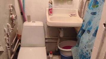 Combined shower/bathtub