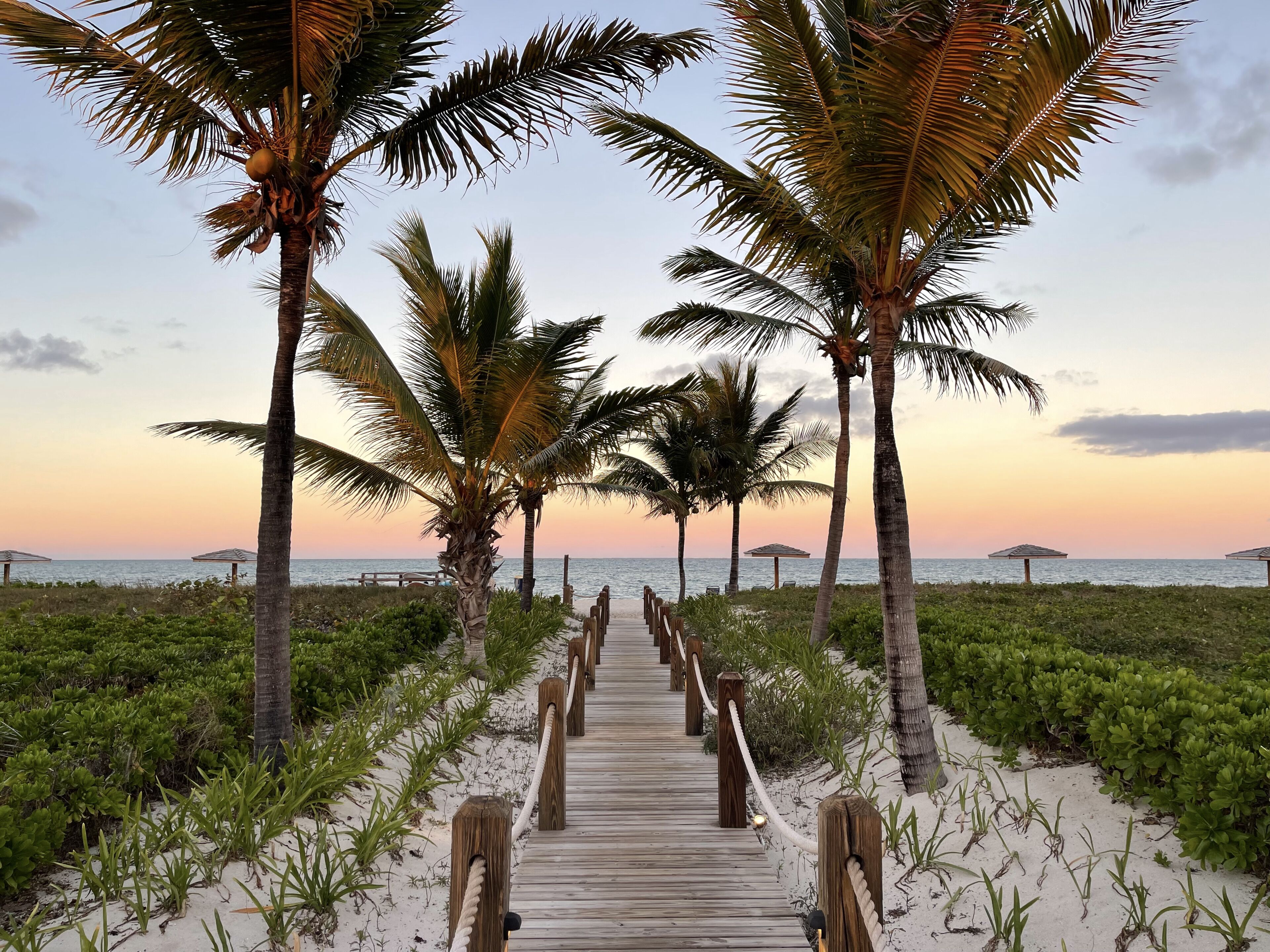 Plage, chaises longues, serviettes de plage