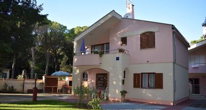 Apts Šime Soline- Two bedroom apartment with garden view terrace