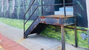 A staircase leading to a dark doorway with a mural of tall green plants on the wall. - Is This Heaven Downtown Dyersville Apartment (Dyersville)