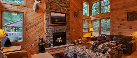 تلفزيون، مدفأة، مشغل دي في دي