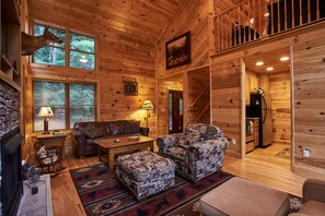 TV, fireplace, DVD player