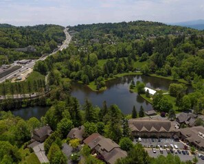 Niet-geclassificeerde afbeelding, 4 van 25, knop