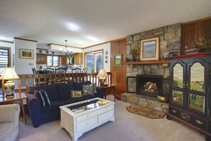 Télévision, cheminée, lecteur de DVD